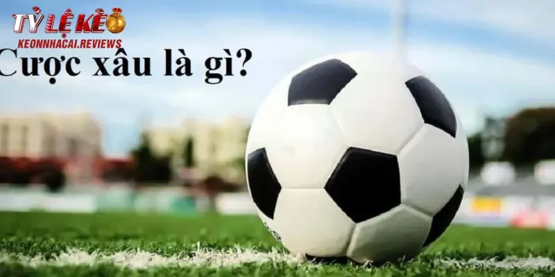 Khái niệm cược xâu là gì