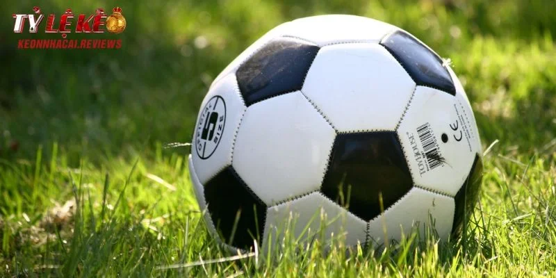 Tài Xỉu 6/6.5 Là Gì